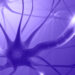 Neuron 1