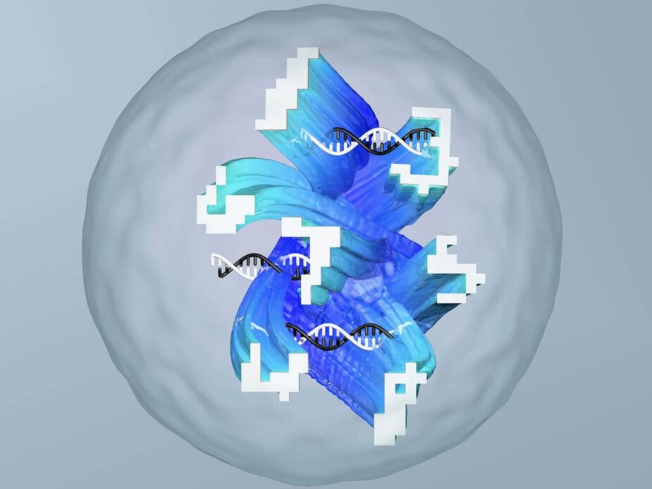 DNA ile Nasıl Yapay Sinir Ağı Yapılır?