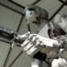 katil robot 1