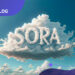 Openai Sora